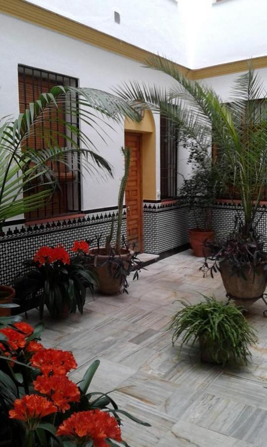 Cordoba Centro Esencia Cordobesa. Mezquita Lägenhet Exteriör bild