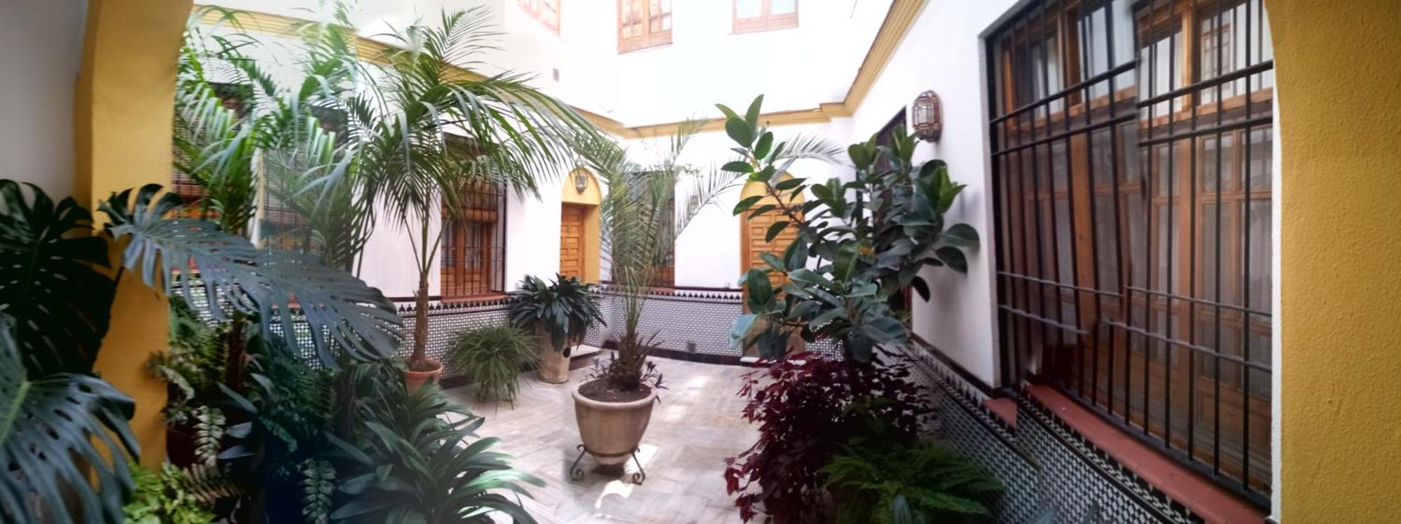 Cordoba Centro Esencia Cordobesa. Mezquita Lägenhet Exteriör bild